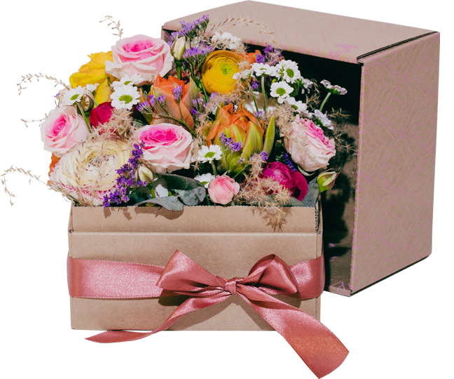 Blühauf Blumenbox kaufen in Graz Umgebung